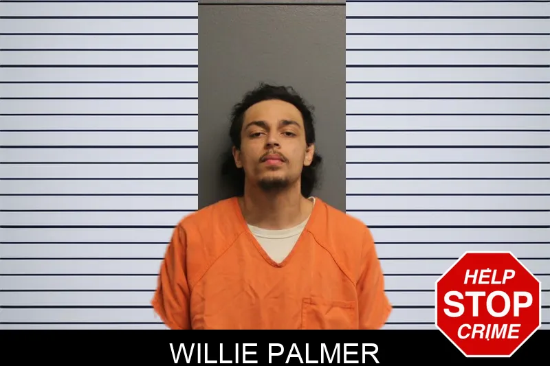Willie Palmer