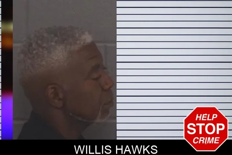 Willis Hawks