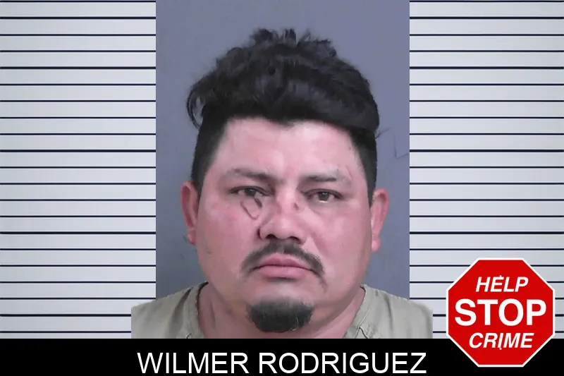 Wilmer Rodriguez