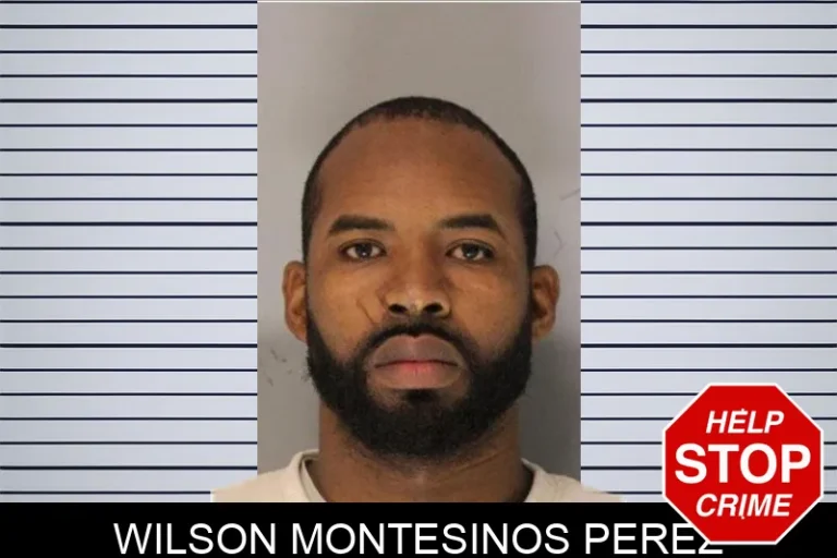 Wilson Montesinos Perez