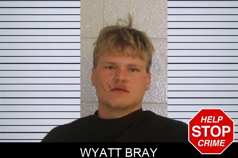 Wyatt Bray mugshot – Carroll County , Georgia Wyatt Bray mugshot