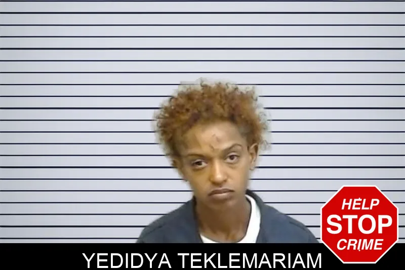 Yedidya Teklemariam mugshot – Fulton County , Georgia Yedidya Teklemariam mugshot
