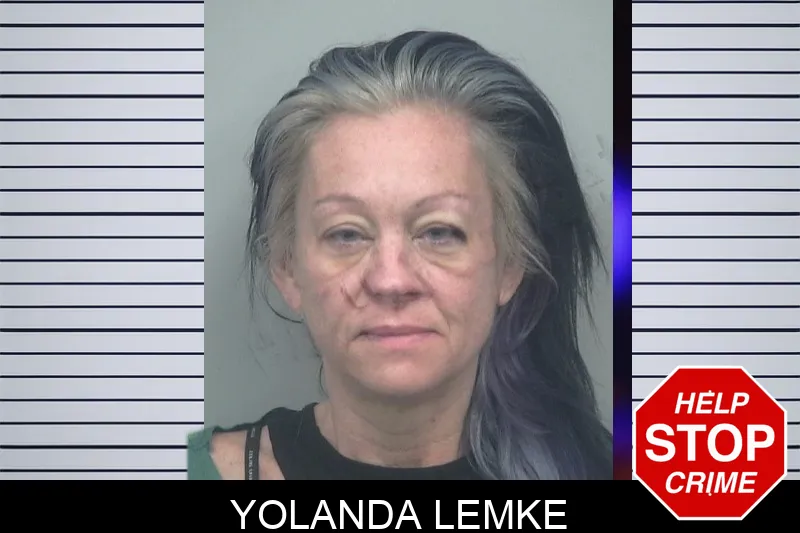 Yolanda Lemke mugshot – Gwinnett County , Georgia Yolanda Lemke mugshot