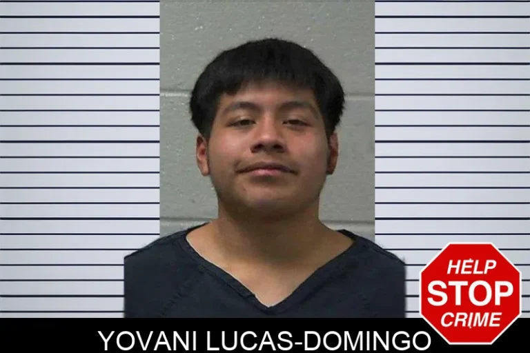 Yovani Lucas-Domingo mugshot – Gilmer County , Georgia Yovani Lucas-Domingo