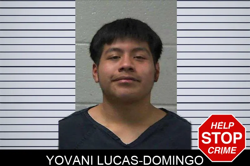 Yovani Lucas-Domingo