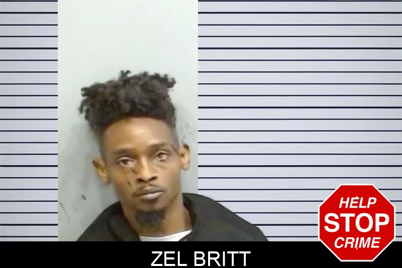 Zel Britt mugshot – Fulton County , Georgia Zel Britt mugshot