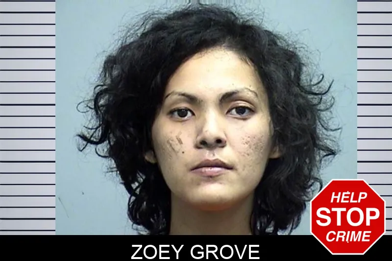 Zoey Grove mugshot – Effingham County , Georgia Zoey Grove mugshot