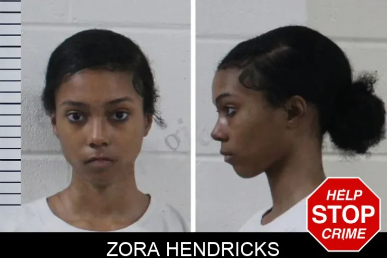 Zora Hendricks mugshot – Houston County , Georgia Zora Hendricks
