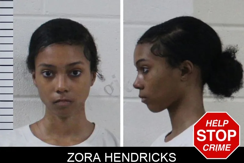 Zora Hendricks mugshot – Houston County , Georgia Zora Hendricks mugshot