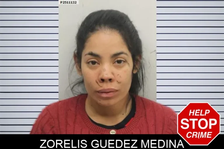 Zorelis Guedez Medina
