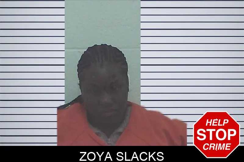 Zoya Slacks