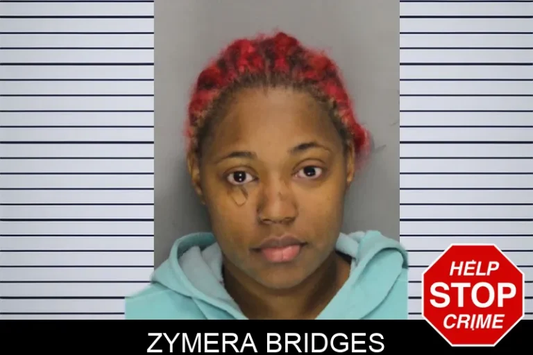 Zymera Bridges