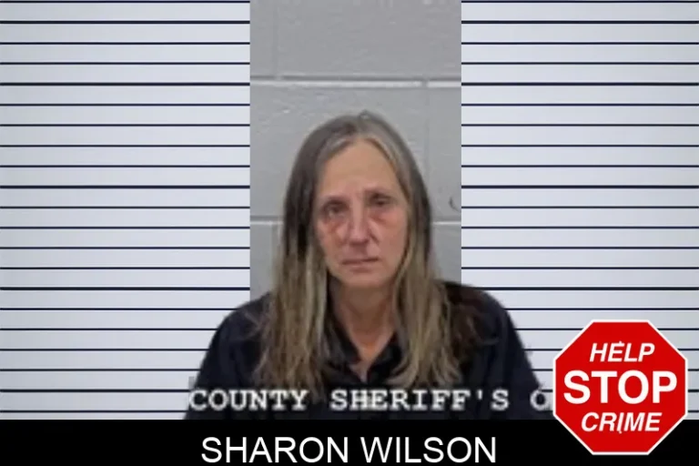 Sharon Wilson