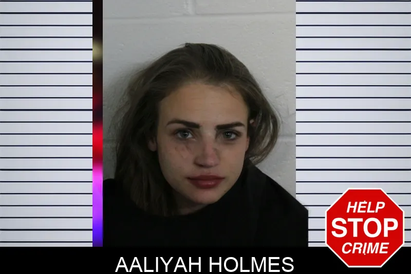 Aaliyah Holmes Mugshots