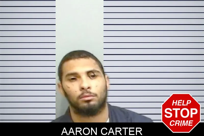 Aaron Carter Mugshots