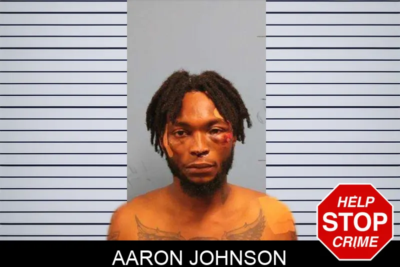 Aaron Johnson Mugshots