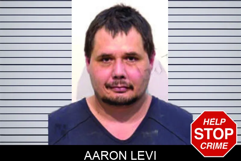 Aaron Levi Mugshots