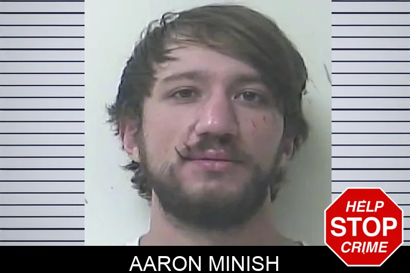 Aaron Minish Mugshots