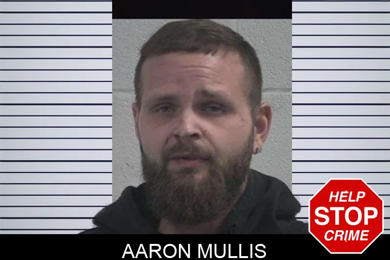 Aaron Mullis Mugshots