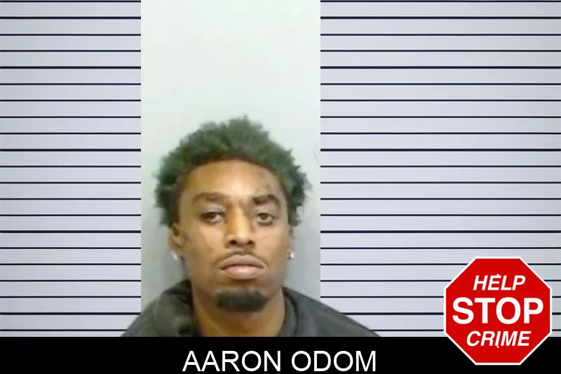 Aaron Odom mugshot – Fulton County , Georgia Aaron Odom mugshot