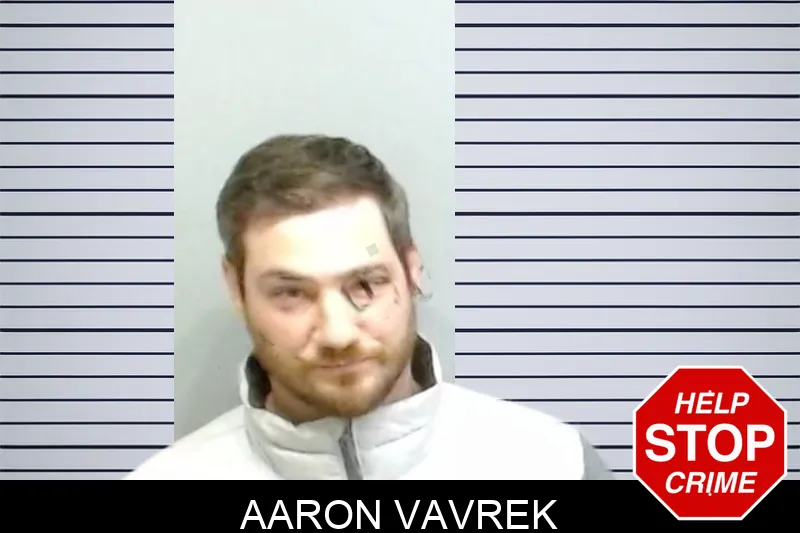 Aaron Vavrek Mugshots