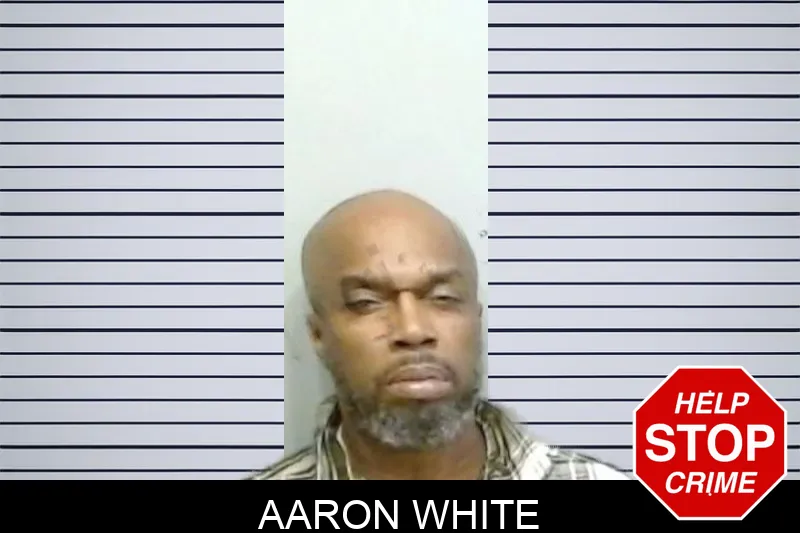 Aaron White mugshot