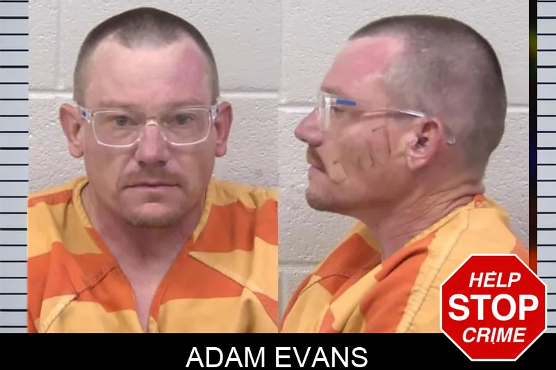 Adam Evans Mugshots