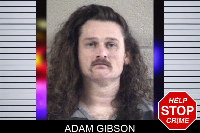 Adam Gibson Mugshots