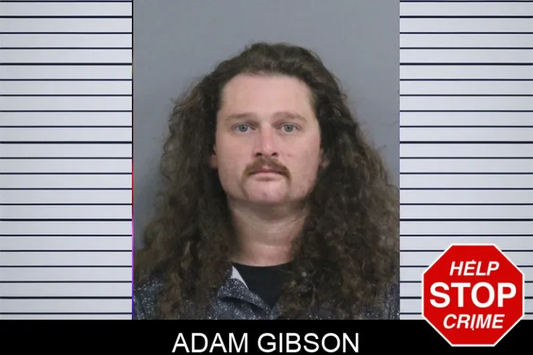 Adam Gibson