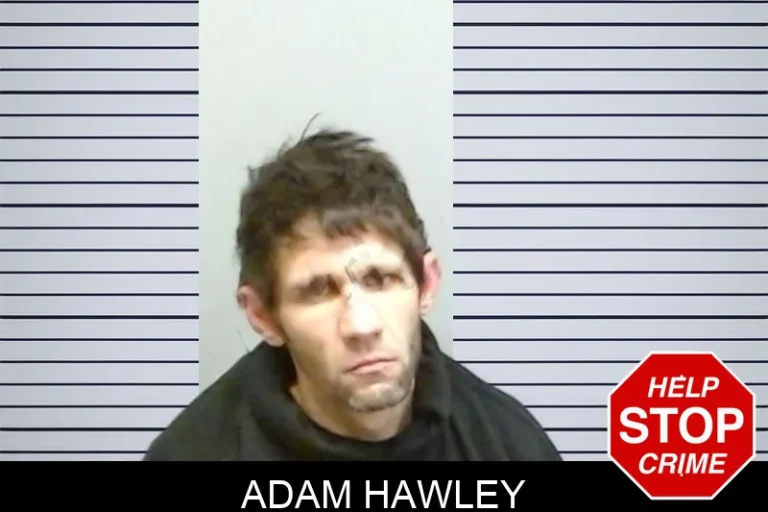 Adam Hawley