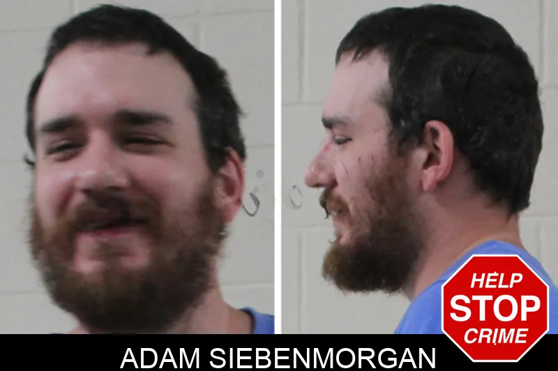 Adam Siebenmorgan Mugshots