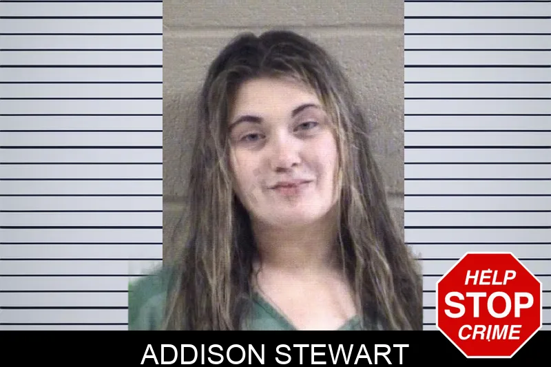 Addison Stewart Mugshots