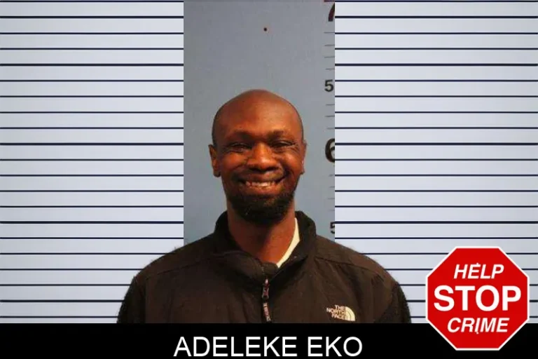 Adeleke Eko