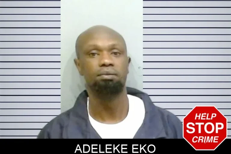 Adeleke Eko mugshot – Fulton County , Georgia Adeleke Eko