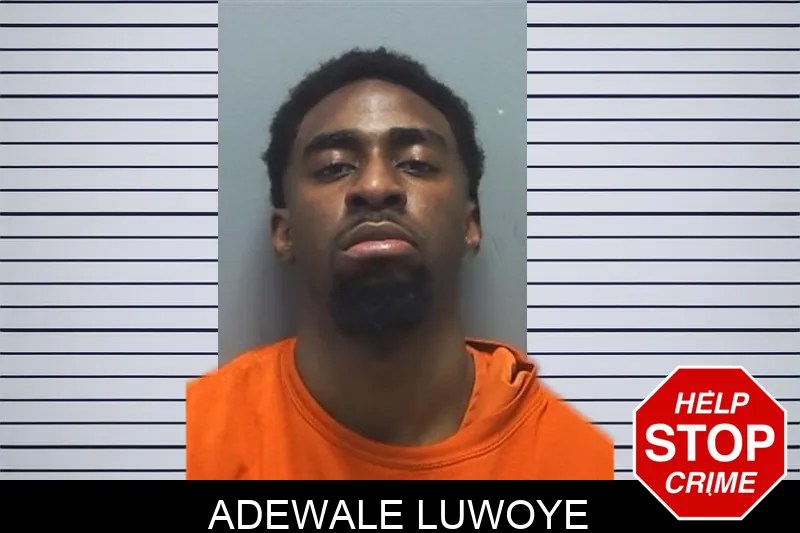 Adewale Luwoye Mugshots