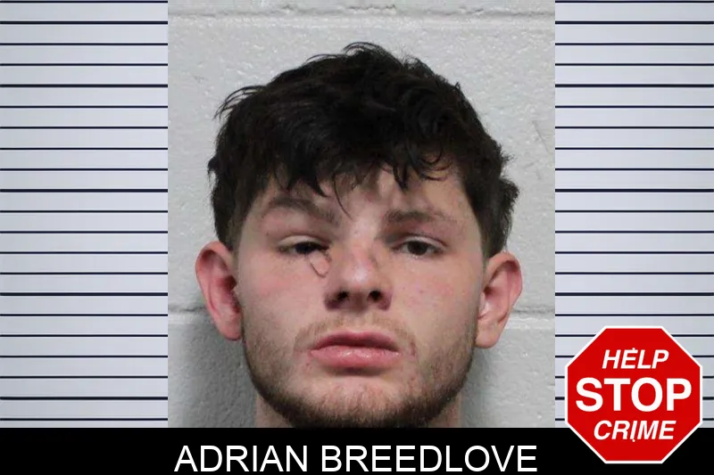 Adrian Breedlove Mugshots