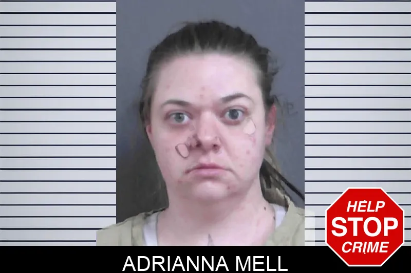 Adrianna Mell Mugshots