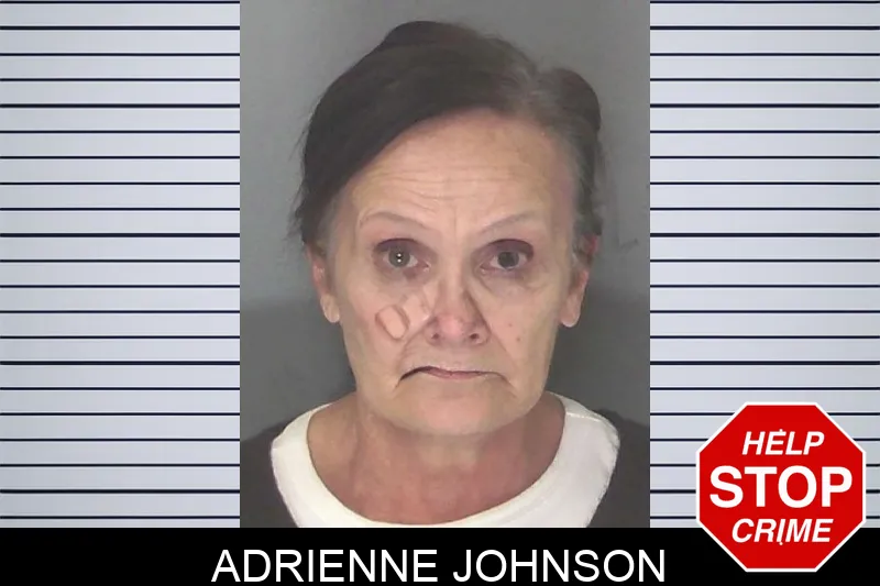 Adrienne Johnson Mugshots