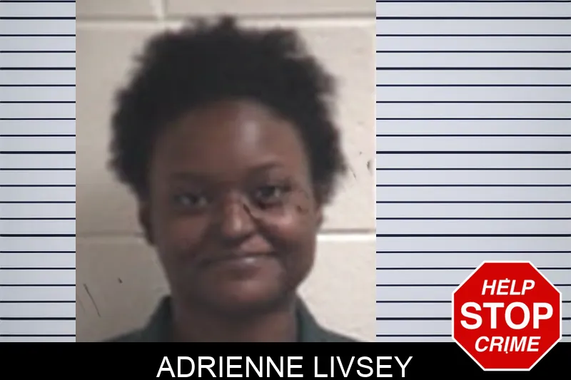 Adrienne Livsey mugshot – Henry County , Georgia Adrienne Livsey mugshot