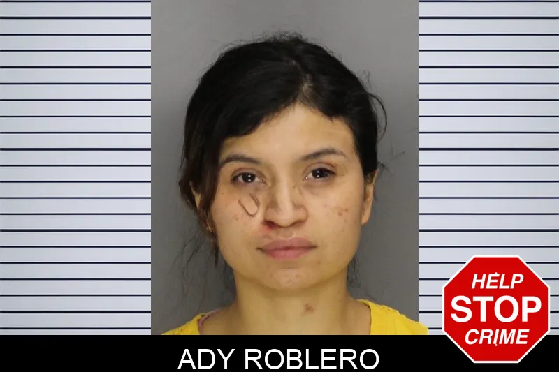 Ady Roblero Mugshots