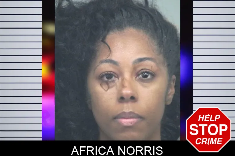 Africa Norris Mugshots