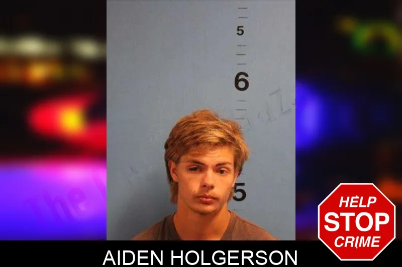 Aiden Holgerson Mugshots