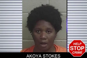Akoya Stokes mugshot