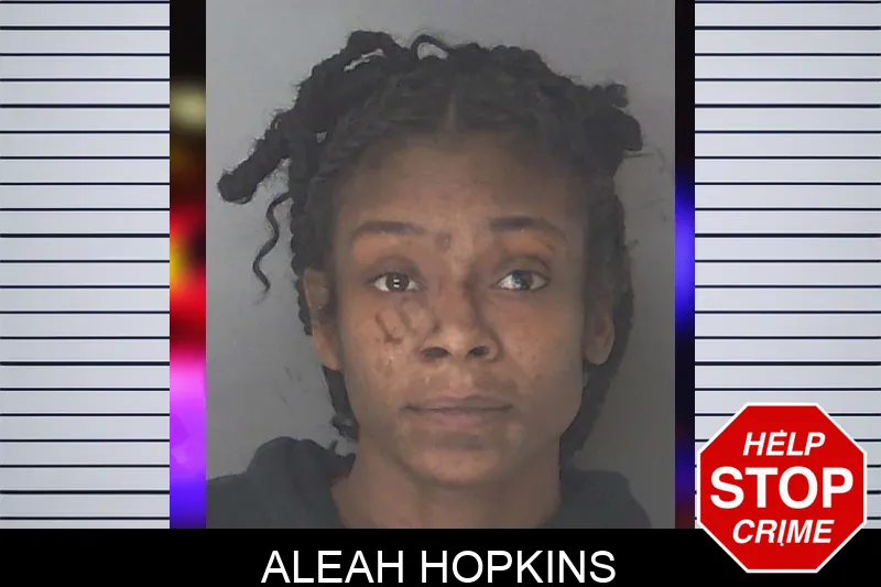 Aleah Hopkins Mugshots