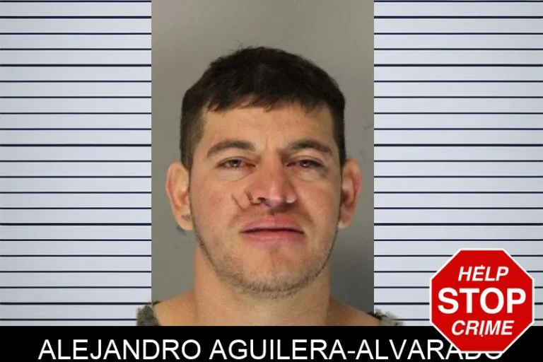 Alejandro Aguilera-Alvarado