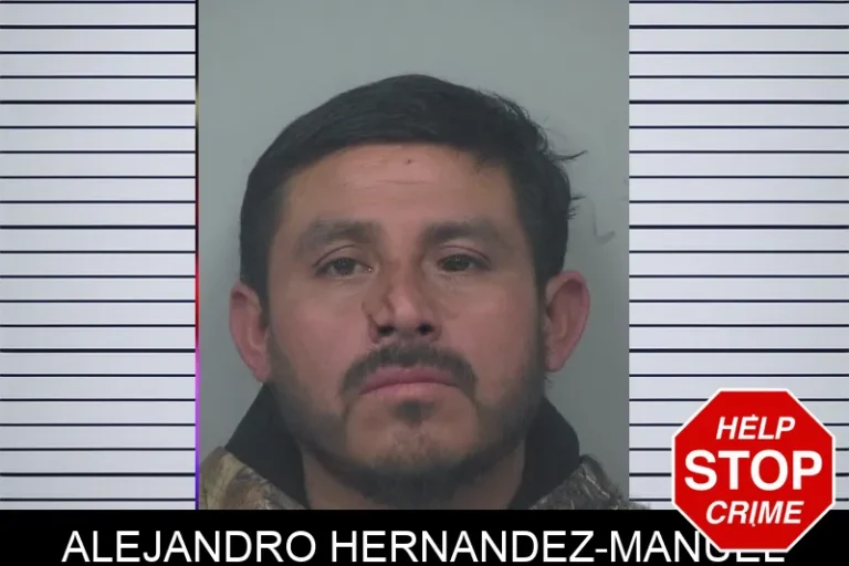 Alejandro Hernandez-Manuel