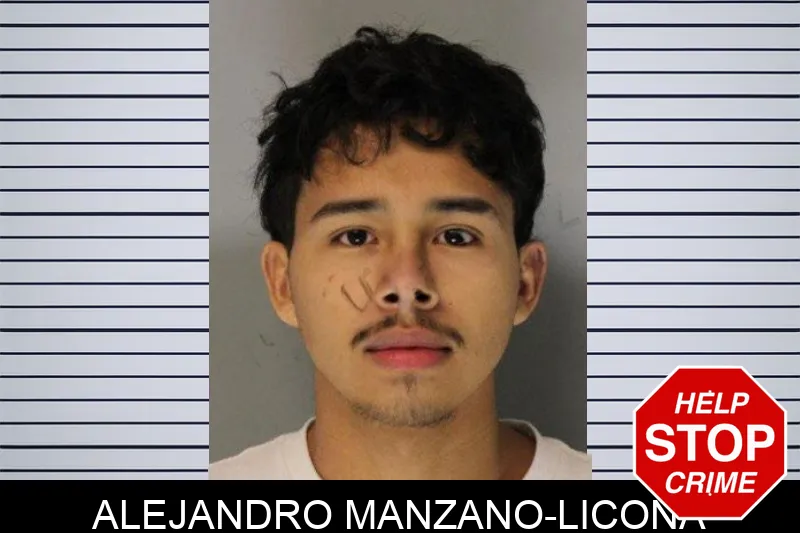 Alejandro Manzano-Licona Mugshots