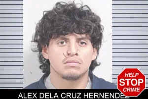 Alex Dela Cruz Hernendez mugshot