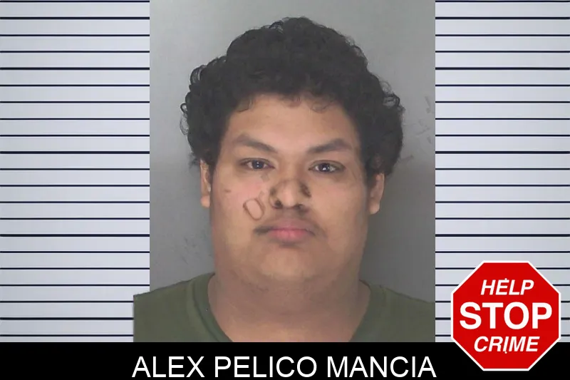 Alex Pelico Mancia Mugshots