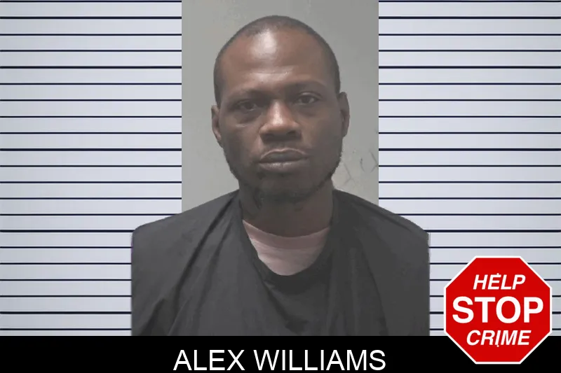 Alex Williams Mugshots